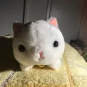 ままんぼう