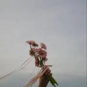 はいはい