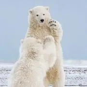 マネー