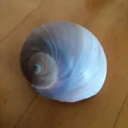 ミスタースーパーマンの画像
