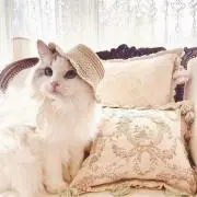 anya❤︎の画像