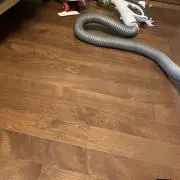 こんこんこんの画像