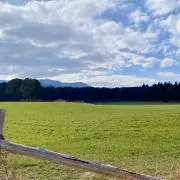 kikuの画像