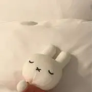 くまくまʕ•̫͡•ʕ•̫͡•ʔ•̫͡•ʔの画像