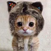 つぐちゃん