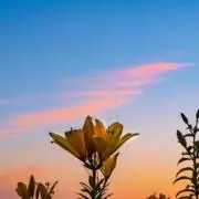 ぎ