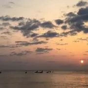 masyusyuの画像