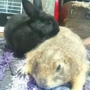 ちゃはぎー♬