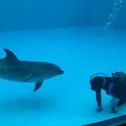 めいび