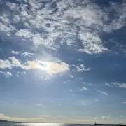 syryの画像