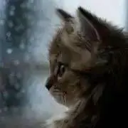 たくちゃん