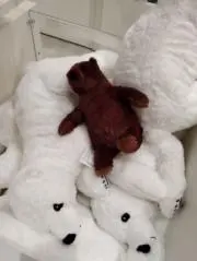メル力リ内のユーザー名の画像