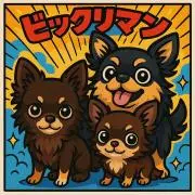 テルの画像