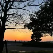 どんやの画像