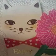 たまちゃんの画像