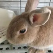 mi