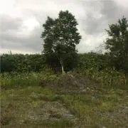 Ｓ207