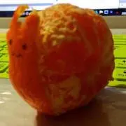 はなだけょ。の画像