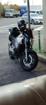 島袋の画像