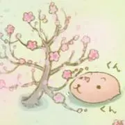 櫻の画像