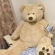 くまの画像