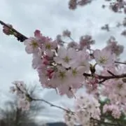 m m