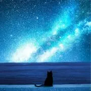 N