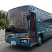 MK517