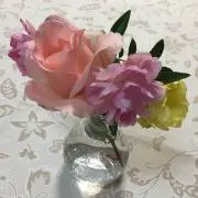 Akeの画像