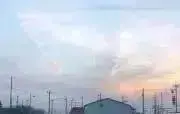 ともの画像