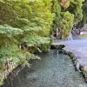 遊の画像