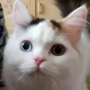 ひでちんの画像