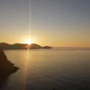 ひまわりの画像