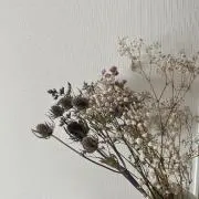れいの画像