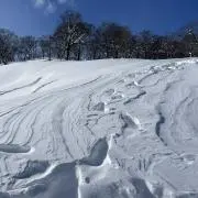 ma__sanの画像