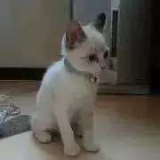 あきちゃん【プロフ必読】の画像