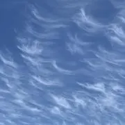 kumoの画像