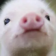 ヒロ