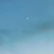 Leshyの画像