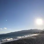 モグの画像