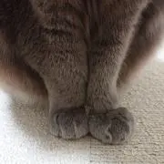 ＼(^^)／