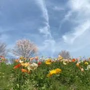 ららら