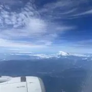 モナリュミの画像
