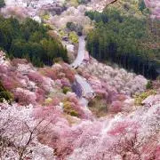 mary☆の画像