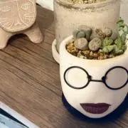 麦日和の画像