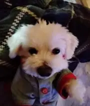 まさ