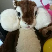 ゆりんこ☆プロフ確認下さい^^