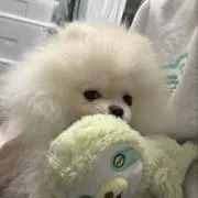 さなゆの画像