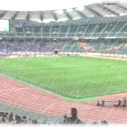 チビちゃん