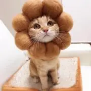 さふぃー☺︎の画像
